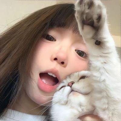 再见非洲
